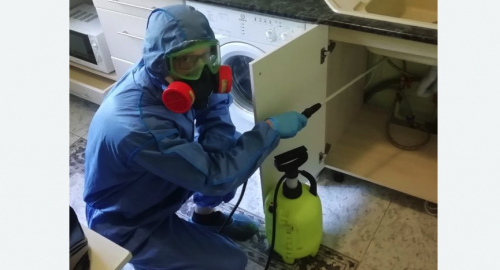 Уничтожение муравьев в квартире. Гагаринский район