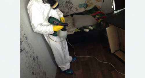 Обработка квартир от насекомых в Гагаринском районе Москвы