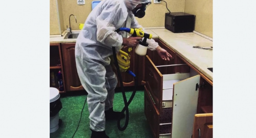 Дезинсекция квартиры. Гагаринский район