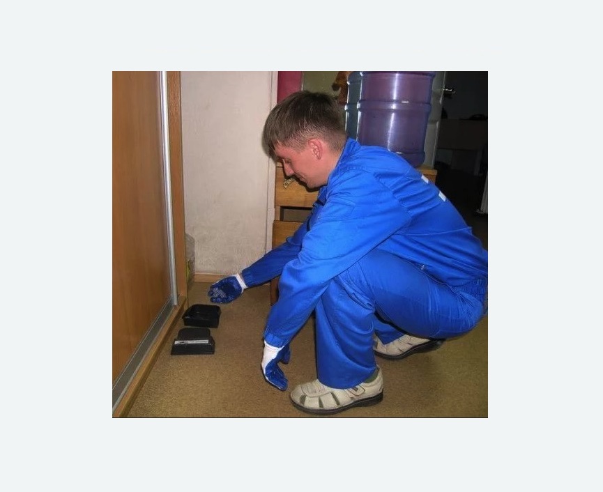 Дератизация крыс в Гагаринском районе Москвы