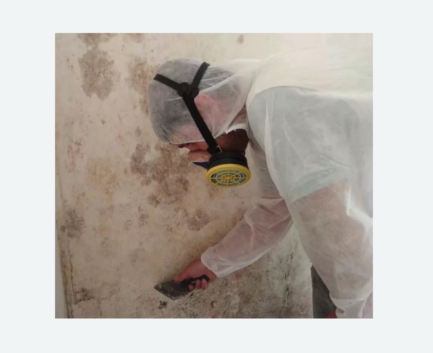 Обработка стен от плесени в Гагаринском районе Москвы