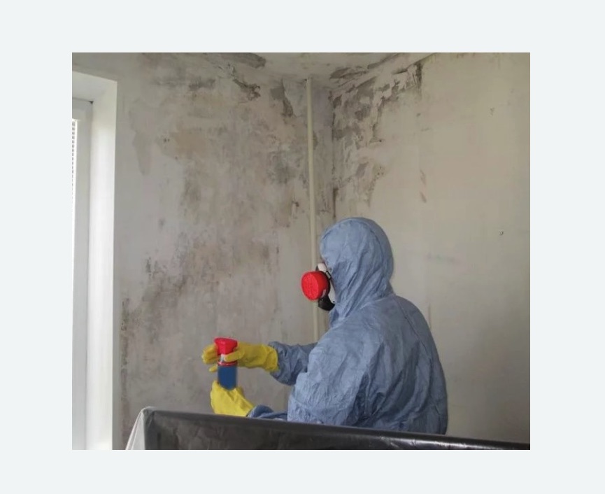 Удаление плесени в квартире в Гагаринском районе Москвы