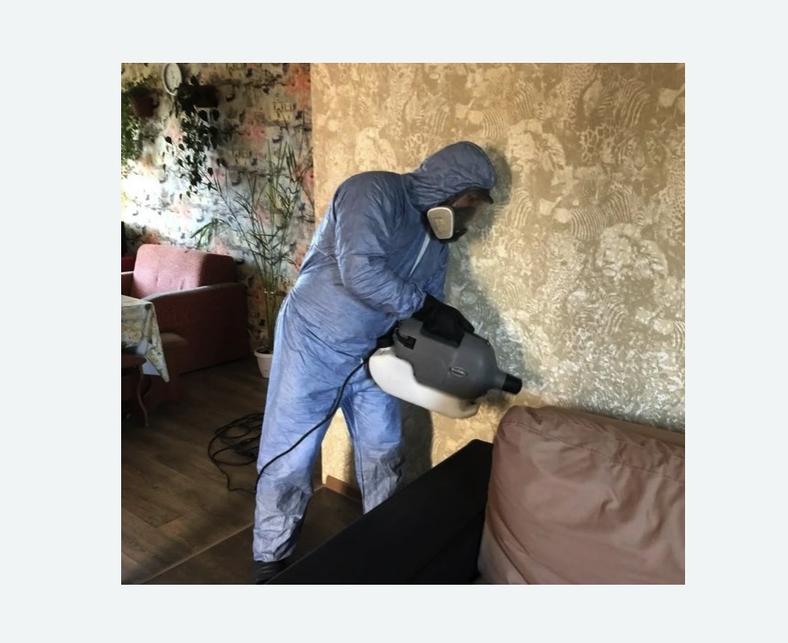 Уничтожение блох в квартире. Гагаринский район Уничтожение блох в квартире