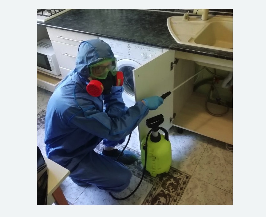 обработка от муравьев в квартире обработка от муравьев в квартире в Гагаринском районе Москвы