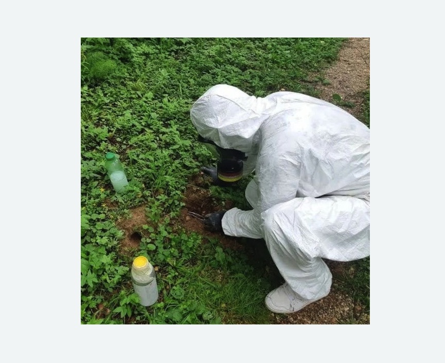 уничтожение кротов на участке уничтожение кротов на участке в Гагаринском районе Москвы